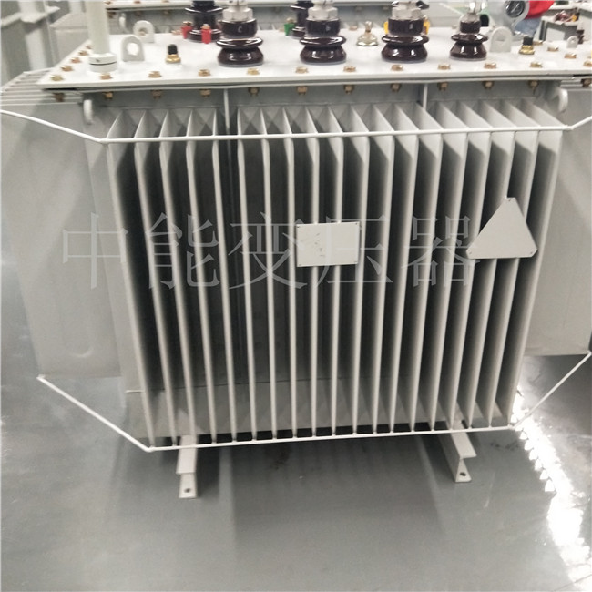 甘南S20-800KVA变压器