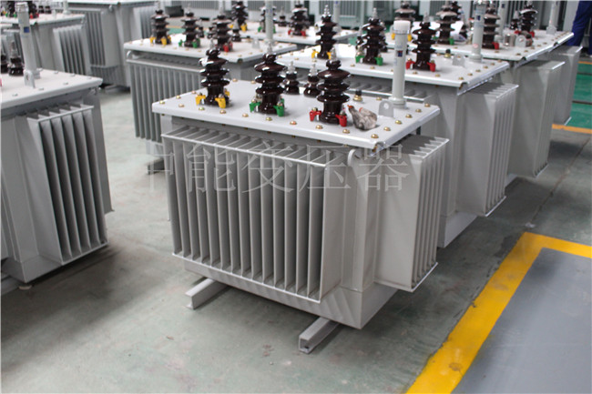 甘南S22-250KVA/10KV变压器